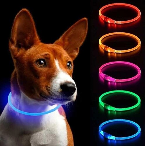 Нашийник для собак із яскравою підсвіткою, з USB-зарядкою