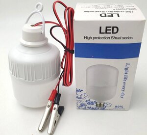 Світлодіодна LED-лампа 12 V 10 W 11 х 6 см лампочка кемпінгова на дроті
