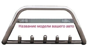 Кенгурятник WT004 (нерж) для Hyundai H200, H1, Starex 1998-2007.