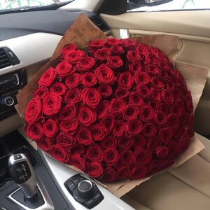 Купить рози в Запорожье , купить живые цветы в Запорожье