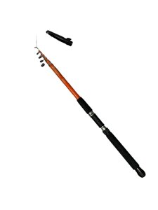 Вудлище телескопічне універсальне Expert Rod 3м тест 50-100гр Спінінг телескоп