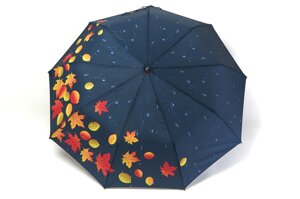 Синя жіноча парасолька з краплями і листям