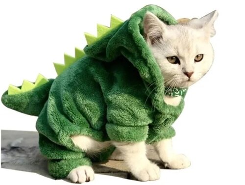 Одяг для кота собаки L Костюм динозавра