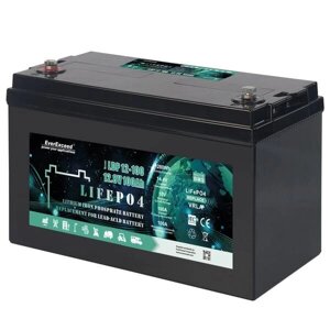 Акумулятор EverExceed LDP 12-100 (12.8V100AH) із BLUETOOTH моніторингом