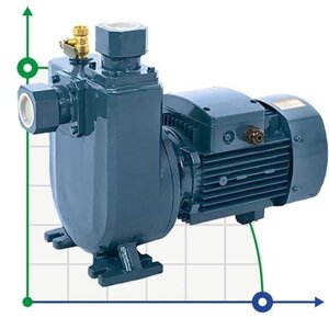 Насос самовсмоктуючий BXZm 15-30-1,5kW, 2900, 220V, imp: AISI 304