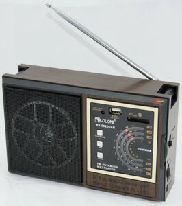 Портативний радіоприймач GOLON RX 9922