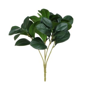 Фікус — Букет листя 30 см