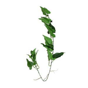 Калла - Гірлянда з прогумованого листя 128 см