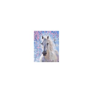 Картина за номерами Біла Кінь 40х50 Холст + Фарби + Пензлі