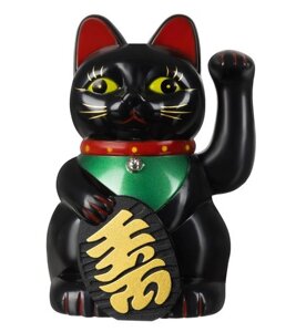 Китайська кішка — чорна