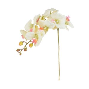 Орхідея — Гілка 79 см