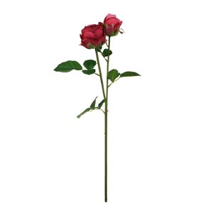 Троянда — прогумована гілка 60 см