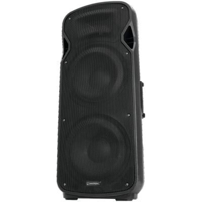 Акустична система Omnitronic VFM-2212 (Passive Box 2x12Woofer Treiber 150W RMS) від компанії 4-K - фото 1