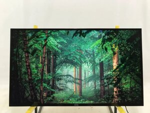 Телевізор 49 дюймів DYON Smart 49 XT ( 4K 60 Гц Smart TV)