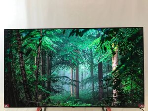 Телевізор 65 дюймів LG OLED65A16LA (Smart TV Bluetooth UHD 4K 60 Гц WI-FI)