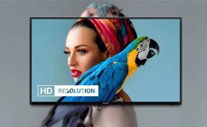 Телевізор 32 дюйми DYON smart 32 X-EOS (smart TV T2\S2 LED)