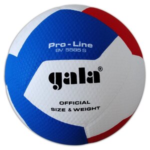 М'яч волейбольний Gala Pro-Line 12 BV5585S