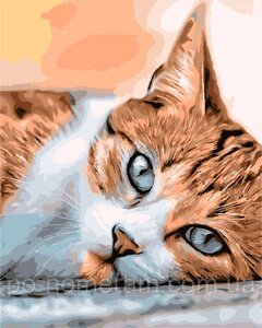 Картина за номерами ArtStory Сонний кіт (AS1024) 40 х 50 см