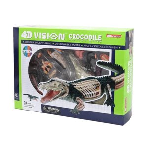 Об'ємна анатомічна модель 4D Master Крокодил