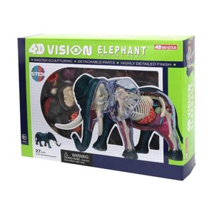 Об'ємна анатомічна модель 4D Master Слон