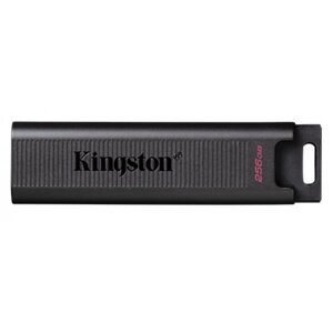 Флеш USB kingston 256GB USB3.2 gen 2 datatraveler max (DTMAX/256GB)