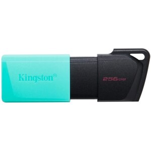 Флеш USB Kingston DataTraveler Exodia M 256GB Black/Teal (DTXM/256GB)