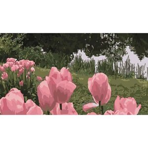 Картина за номерами Strateg Розкішне поле тюльпанів 50х25 см (WW209)