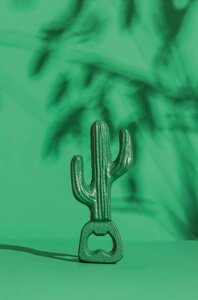 Відкривачка для пляшок Donkey Caribbean Cactus
