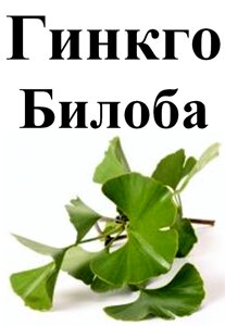 Гінкго білоба, листя сушене, 20 грам.