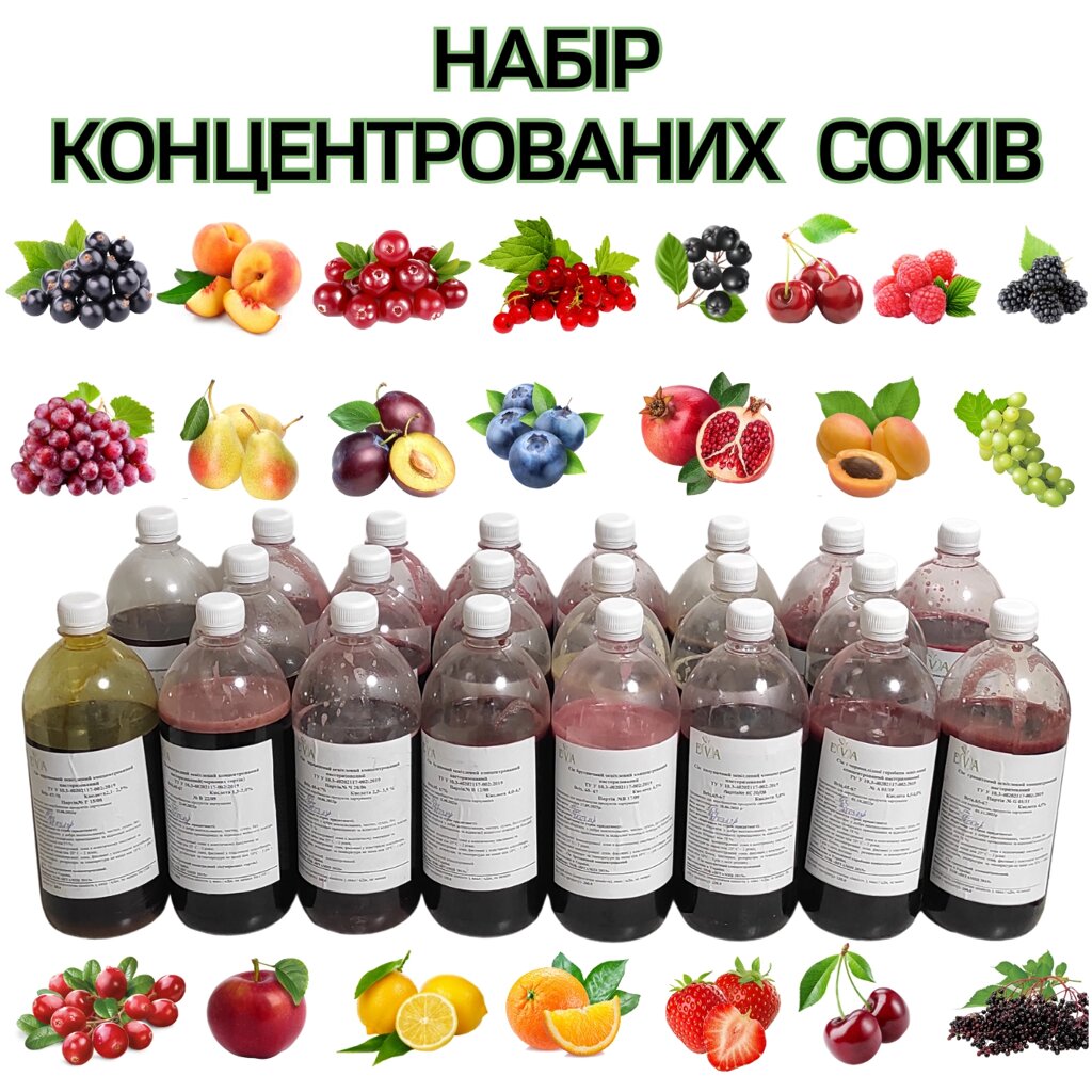 Дегустаційний Набір Концентрованих Соків, 22 смаки по 1 кг від компанії NPRO - фото 1