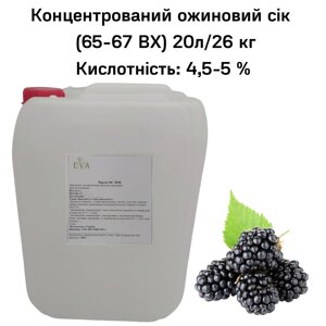 Концентрований ожиновий сік (65-67 ВХ) каністра 20л/26 кг