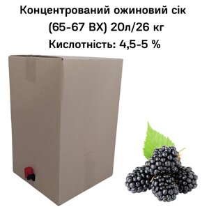 Концентрований ожиновий сік (65-67 ВХ) BAG IN BOX 20л/26 кг