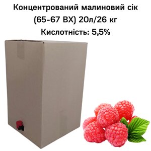 Концентрований Маліновий сік (65-67 ВХ) BAG IN BOX 20л/26 кг