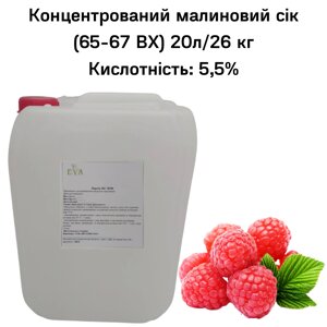 Концентрований Маліновий сік (65-67 ВХ) каністра 20л/26 кг