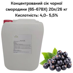 Концентрований сік чорної смородини (65-67ВХ) каністра 20л/26 кг