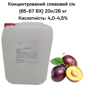 Концентрований сок сливовий (65-67 ВХ) каністра 20л/26 кг