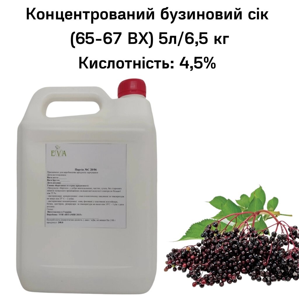 Концентрований бузиновий сік (65-67 ВХ) каністра 5л/6,5 кг від компанії NPRO - фото 1