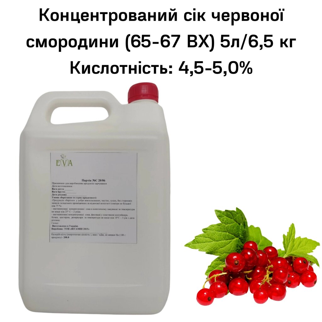 Концентрований сік смородини (65-67 ВХ) каністра 5л/6,5 кг від компанії NPRO - фото 1