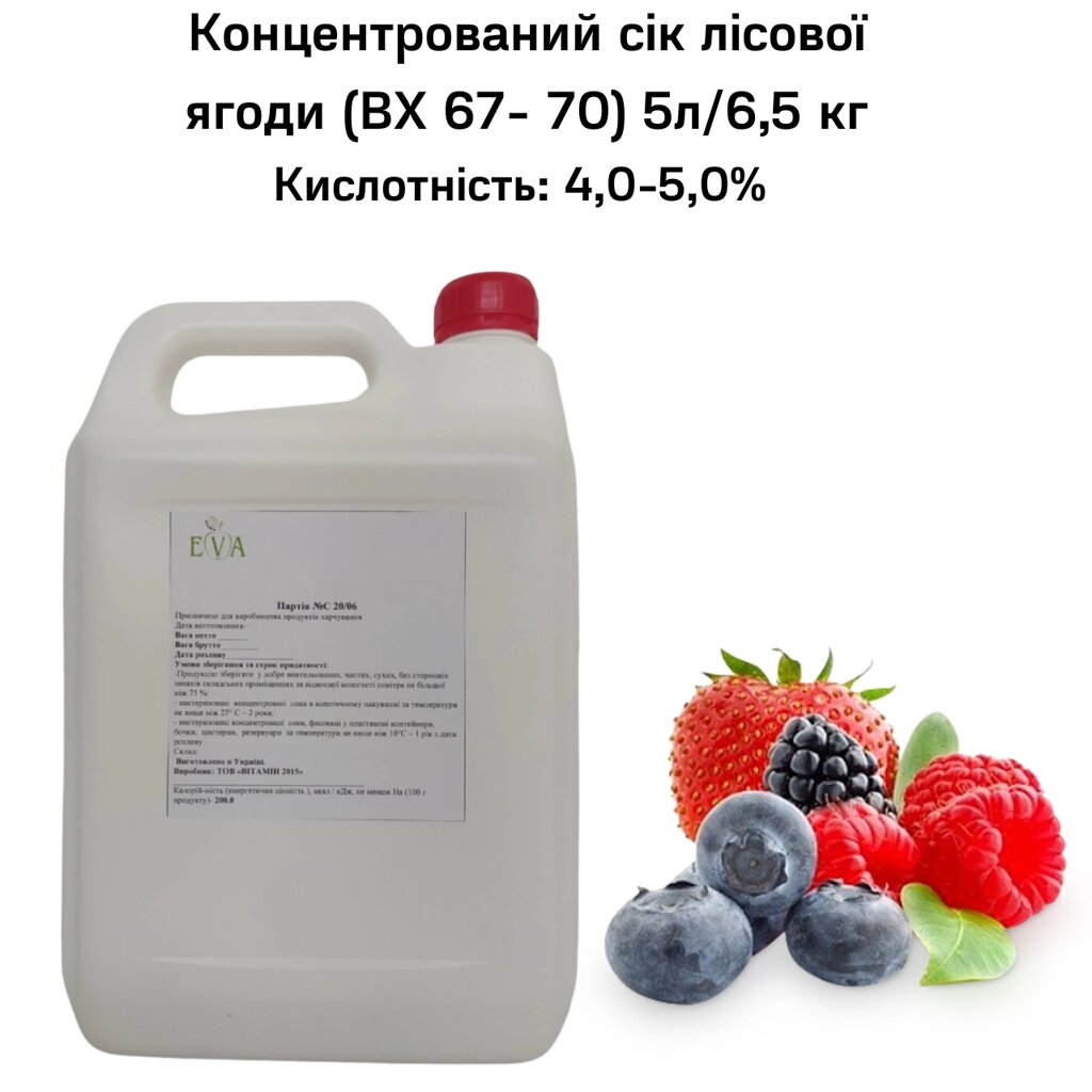 Концентрований сік лісової ягоди (65-67 ВХ) каністра 5л/6,5 кг від компанії NPRO - фото 1