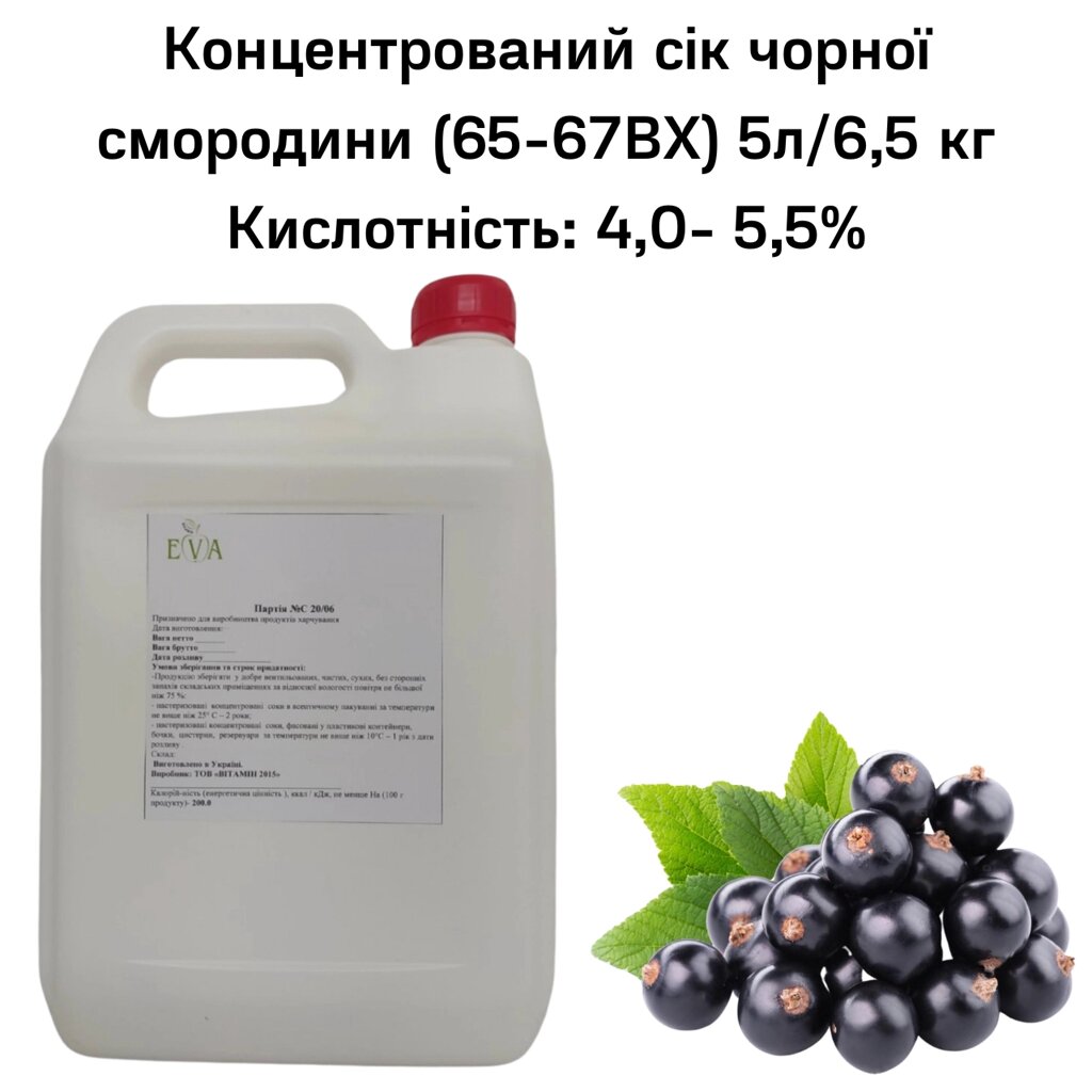 Концентрований сік смородини чорної (65-67ВХ) каністра 5л/6,5 кг від компанії NPRO - фото 1