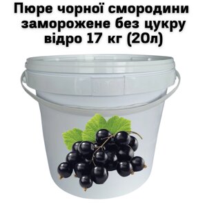Пюре чорної смородини Fruityland заморожене без цукру відро 17 кг (20л)