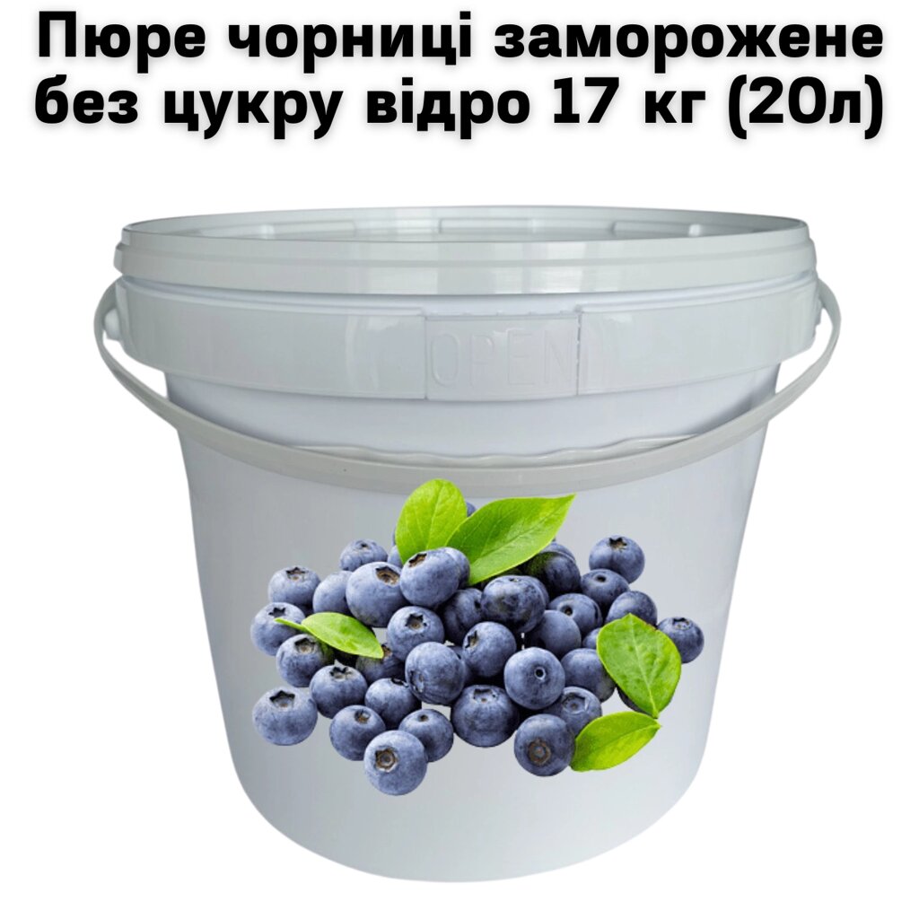 Пюре чорниці Fruityland заморожене без цукру відро 17 кг (20л) від компанії NPRO - фото 1