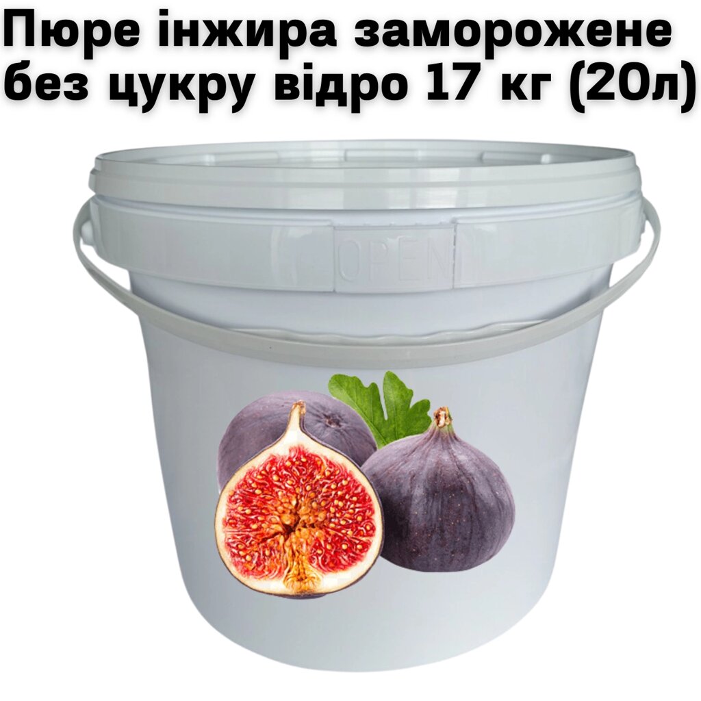 Пюре інжиру FruityLand заморожене без цукру відро 17 кг (20л) від компанії NPRO - фото 1