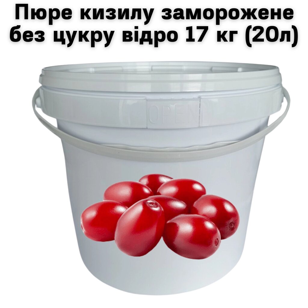 Пюре кизилу FruityLand заморожене без цукру відро 17 кг (20л) від компанії NPRO - фото 1