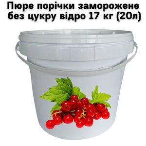 Пюре порічки Fruityland заморожене без цукру відро 17 кг (20л)