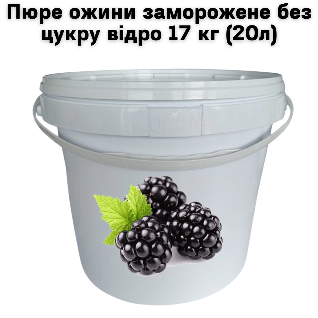 Пюре ожини FruityLand заморожене без цукру відро 17 кг (20л) від компанії NPRO - фото 1