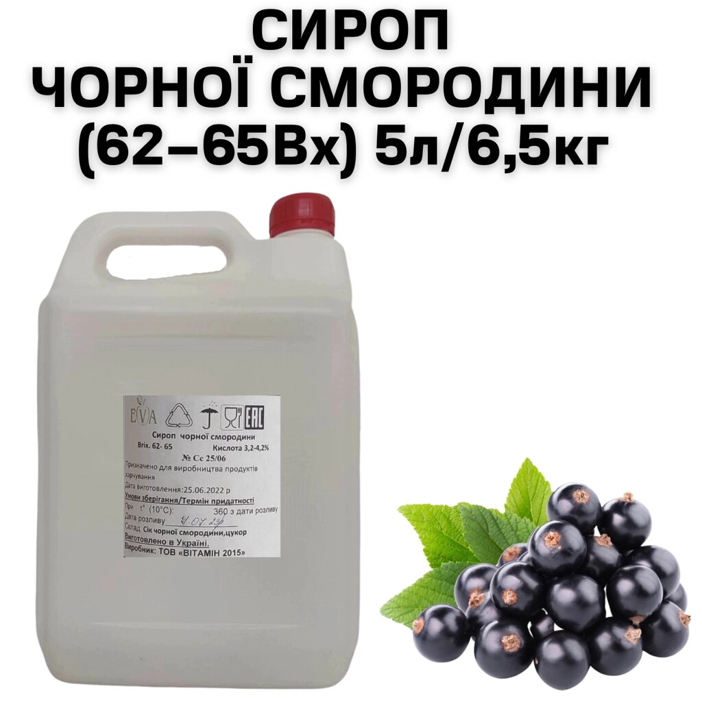 Сироп Чорної Смородини (62-65Вх) каністра 5л/6,5кг від компанії NPRO - фото 1