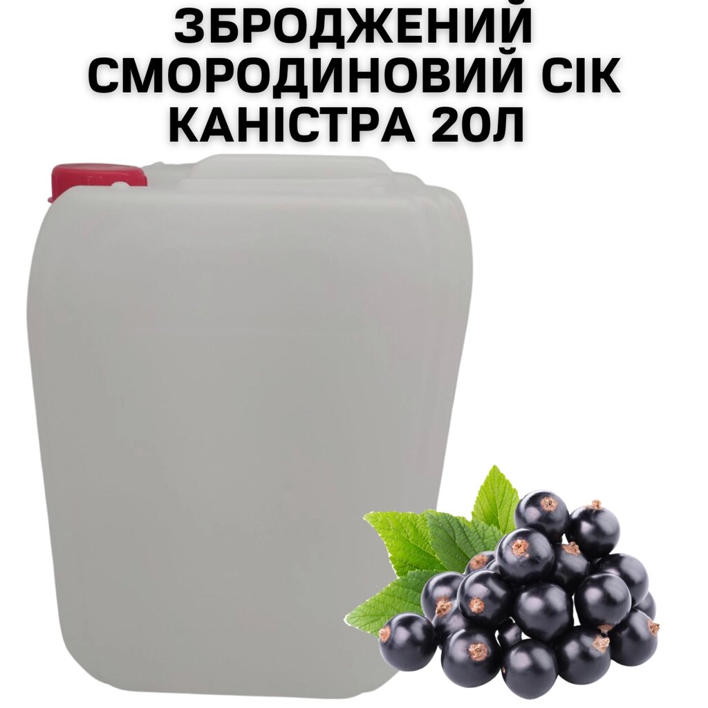 Зброджений смородиновий сік каністра 20л від компанії NPRO - фото 1