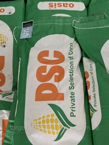 Кукурузы OASIS 270 Производитель PSC