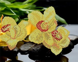 Схема для вишивання бісером АК3-045 Жовті орхідеї ТМ "Астрочка"